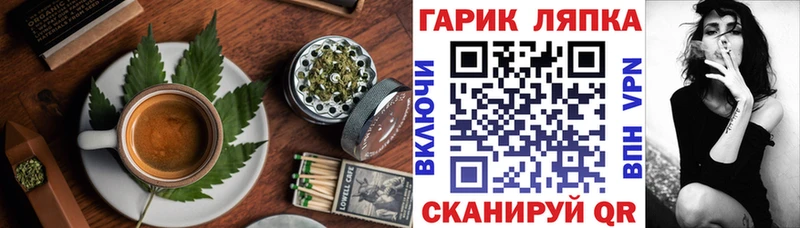 Купить закладки  Боготол  Cannafood конопля 