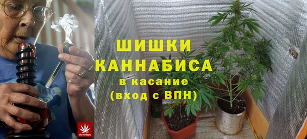 амф Липки