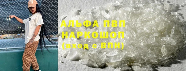 амф Липки