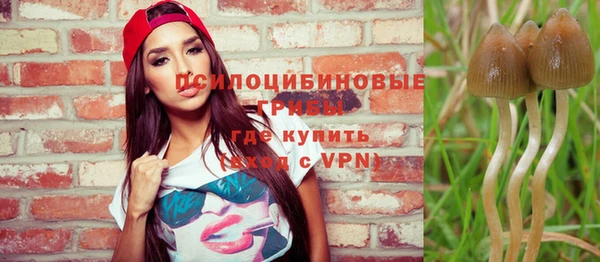 амф Липки