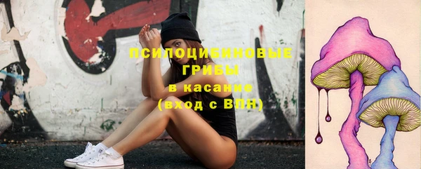 амф Липки