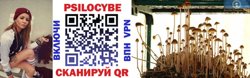 Галлюциногенные грибы ЛСД  Купить где  Боготол 
